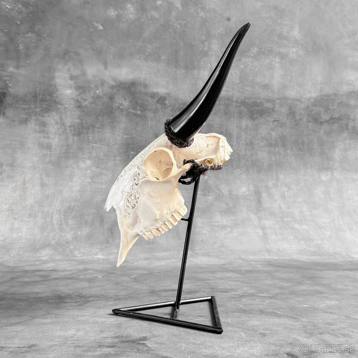 Autentická biela vyrezávaná lebka kozy - motív veľký lotos - 11