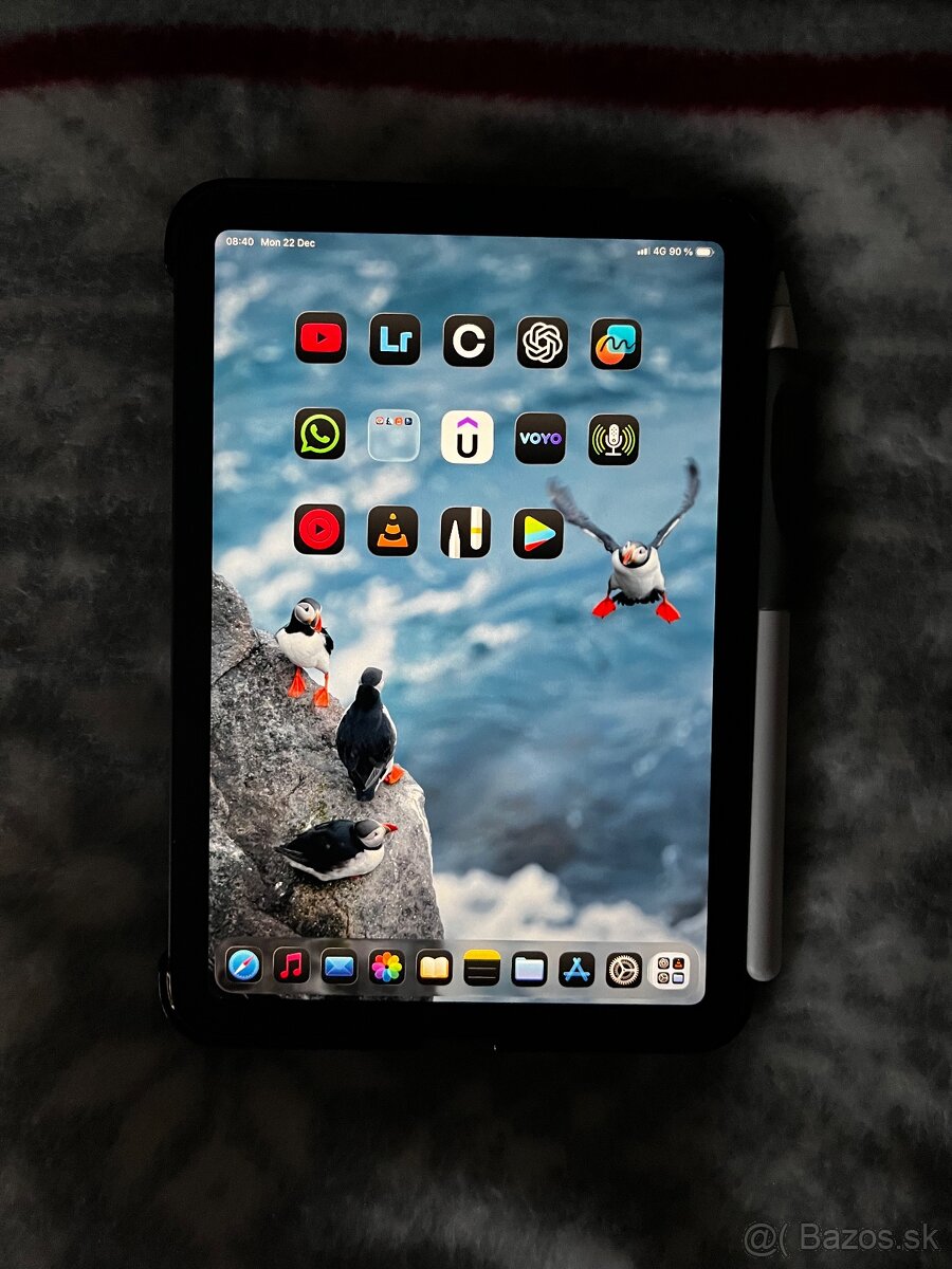 iPad mini 6 256GB Cellular Space Gray + Apple Pencil 2 - 11