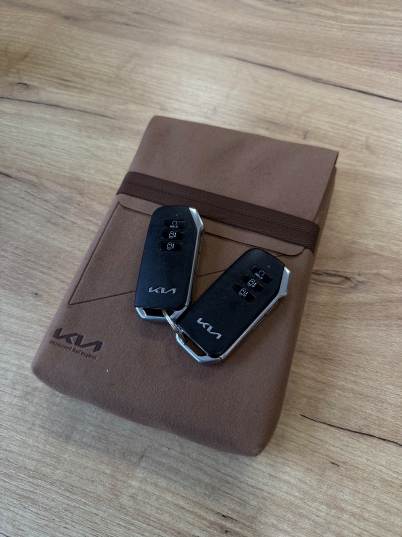 Kia Niro EV PREMIUM 150kW/64kwh - 11