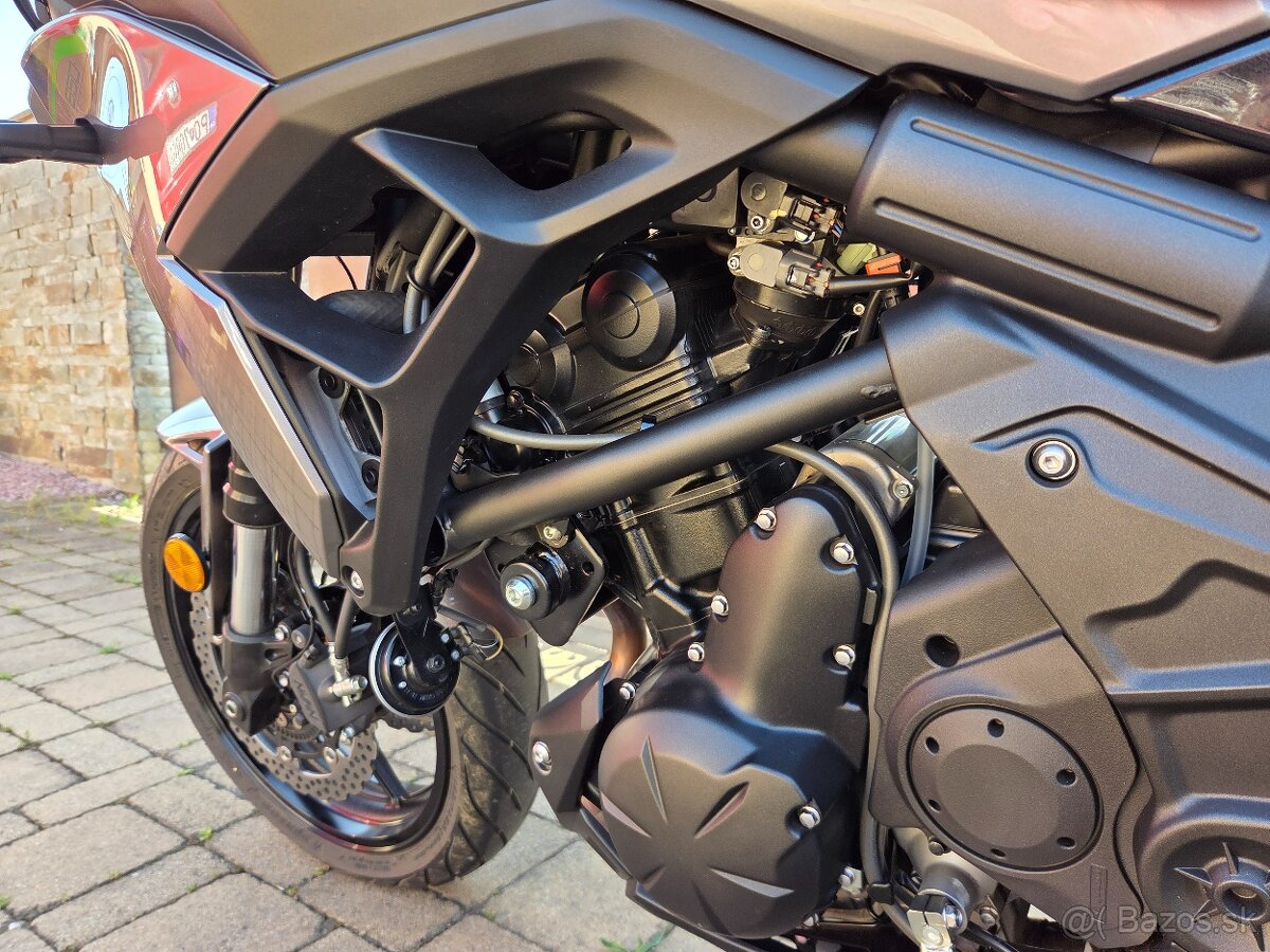 Kawasaki Versys 650 - 11