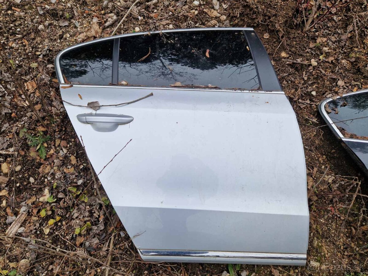 Dvere VW Passat b7 - 11