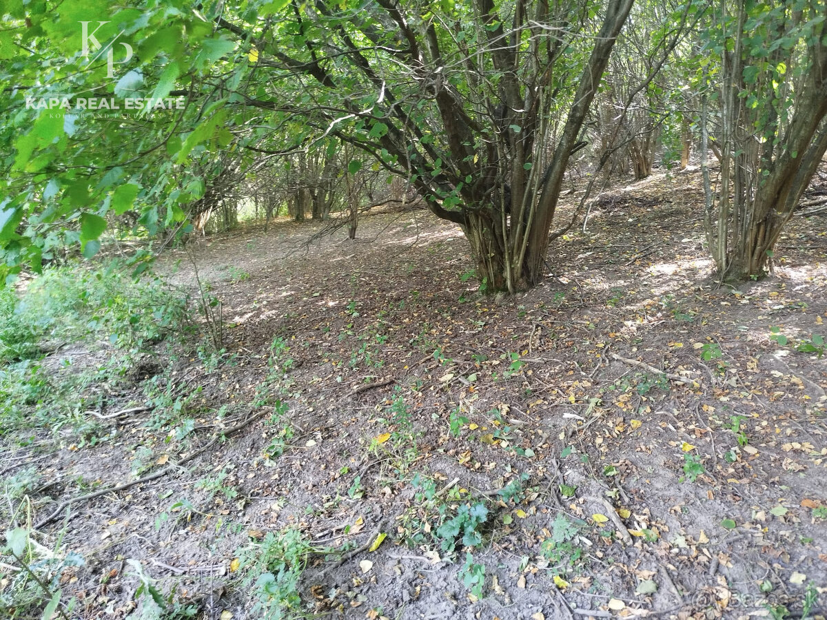 Pozemok na predaj, plocha 4607 m², Veľký Šariš - 11