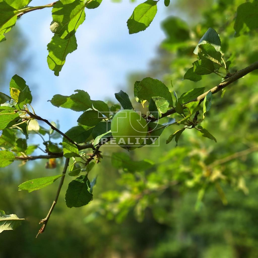 MUROVANÁ CHATA BELUŠSKÉ SLATINY, POD LESOM,OBECNÝ... - 11