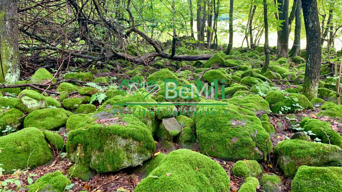 Slnečné pozemky 11434 m2, Michalková - 11