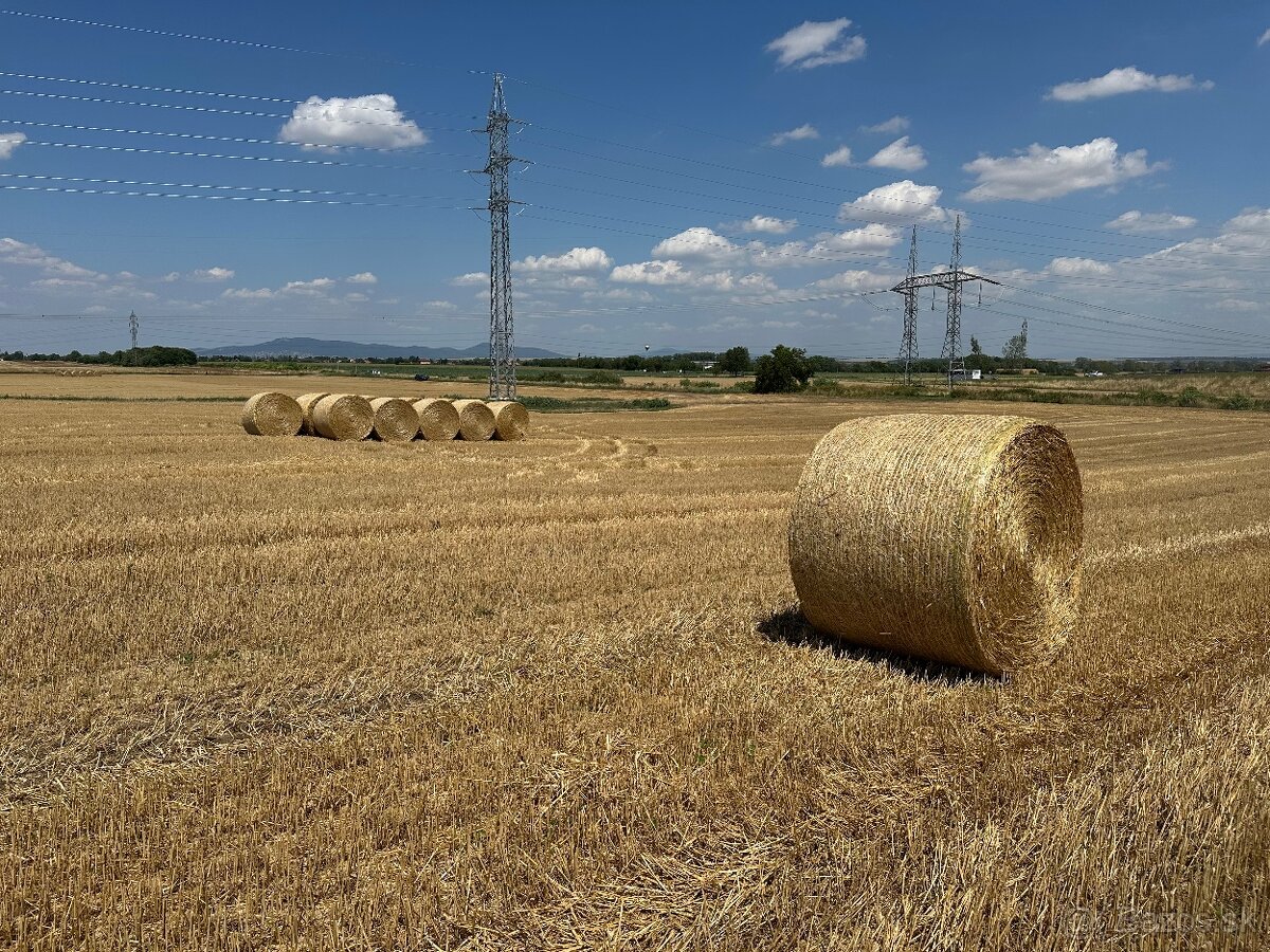 Slama ihneď k odberu - 11