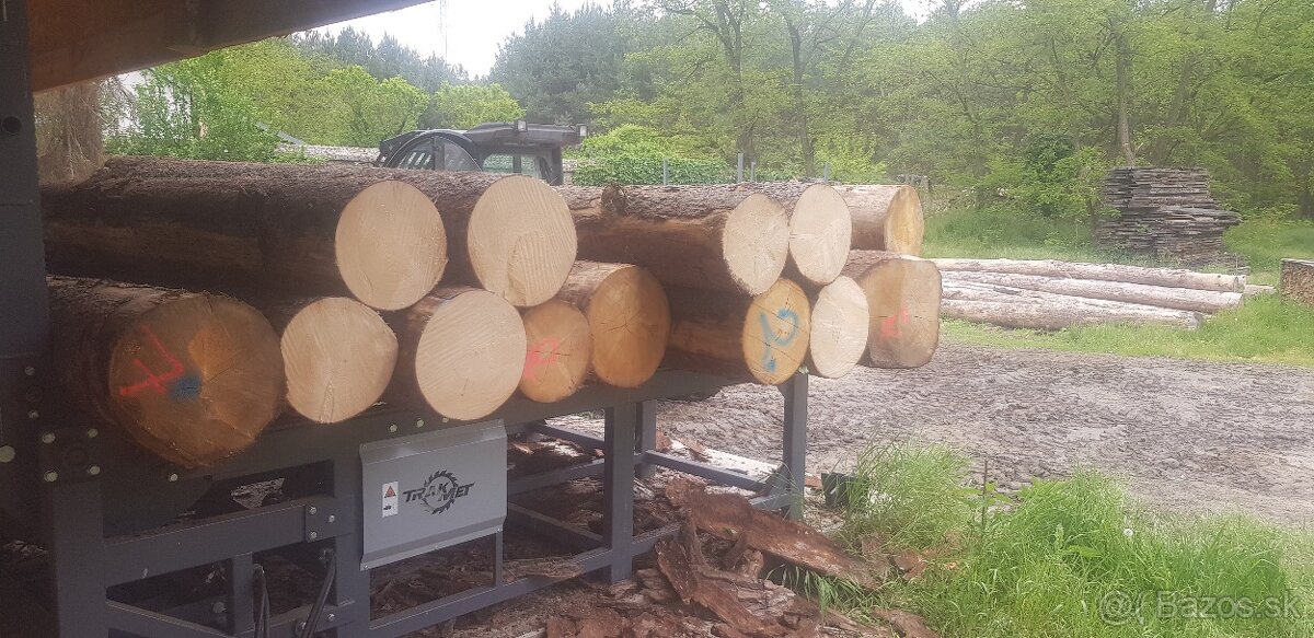 Wood Mizer LT20 - 11