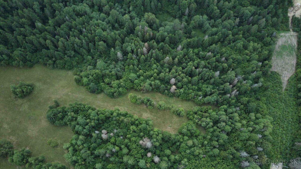 Polomka - 12.319 m2 ORNÁ PÔDA v pozemkových úpravách - 11