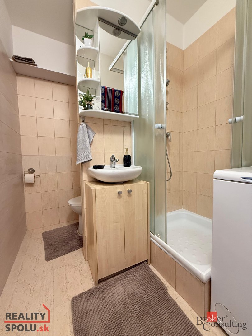 Prenájom 1 izbového bytu - 11