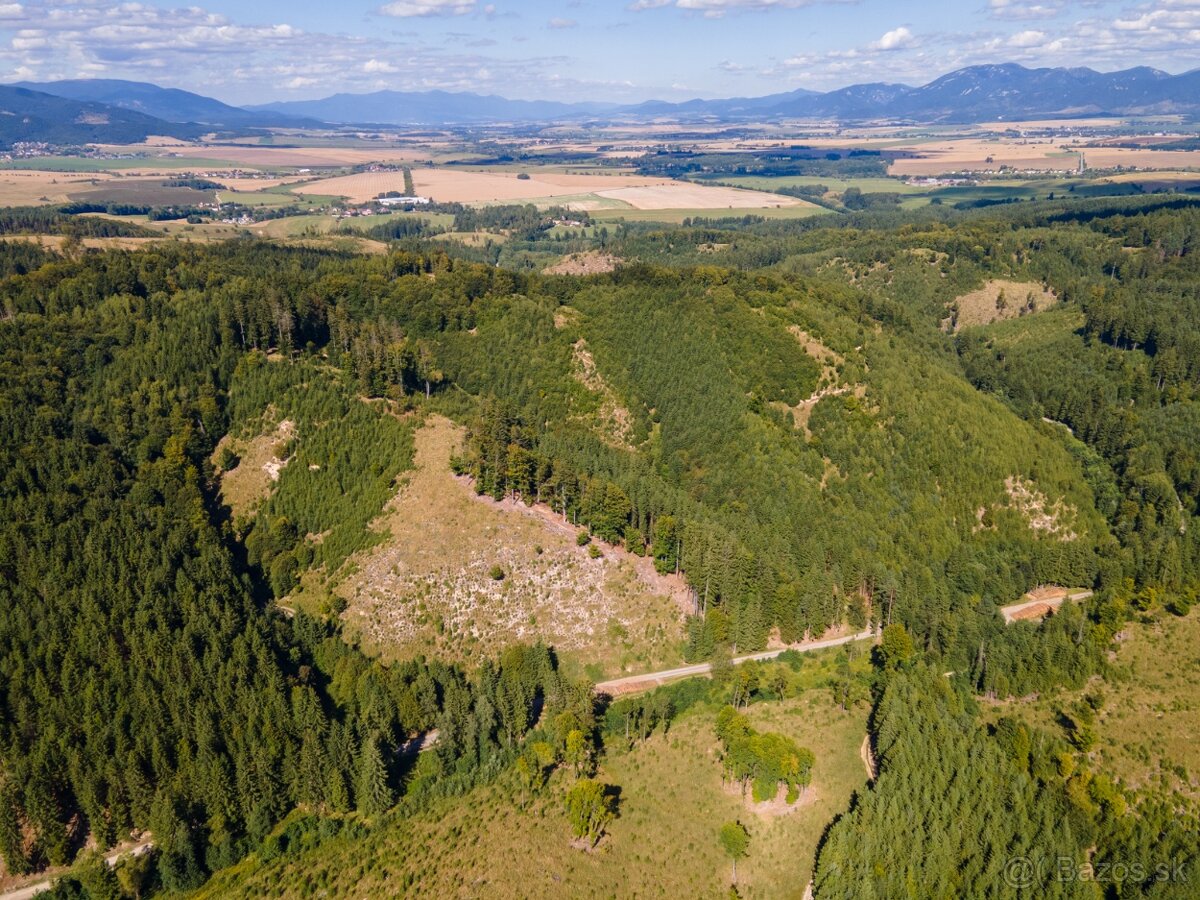 HOSPODÁRSKY LES V OBCI BUDIŠ V OKRESE TURČIANSKE TEPLICE - 11