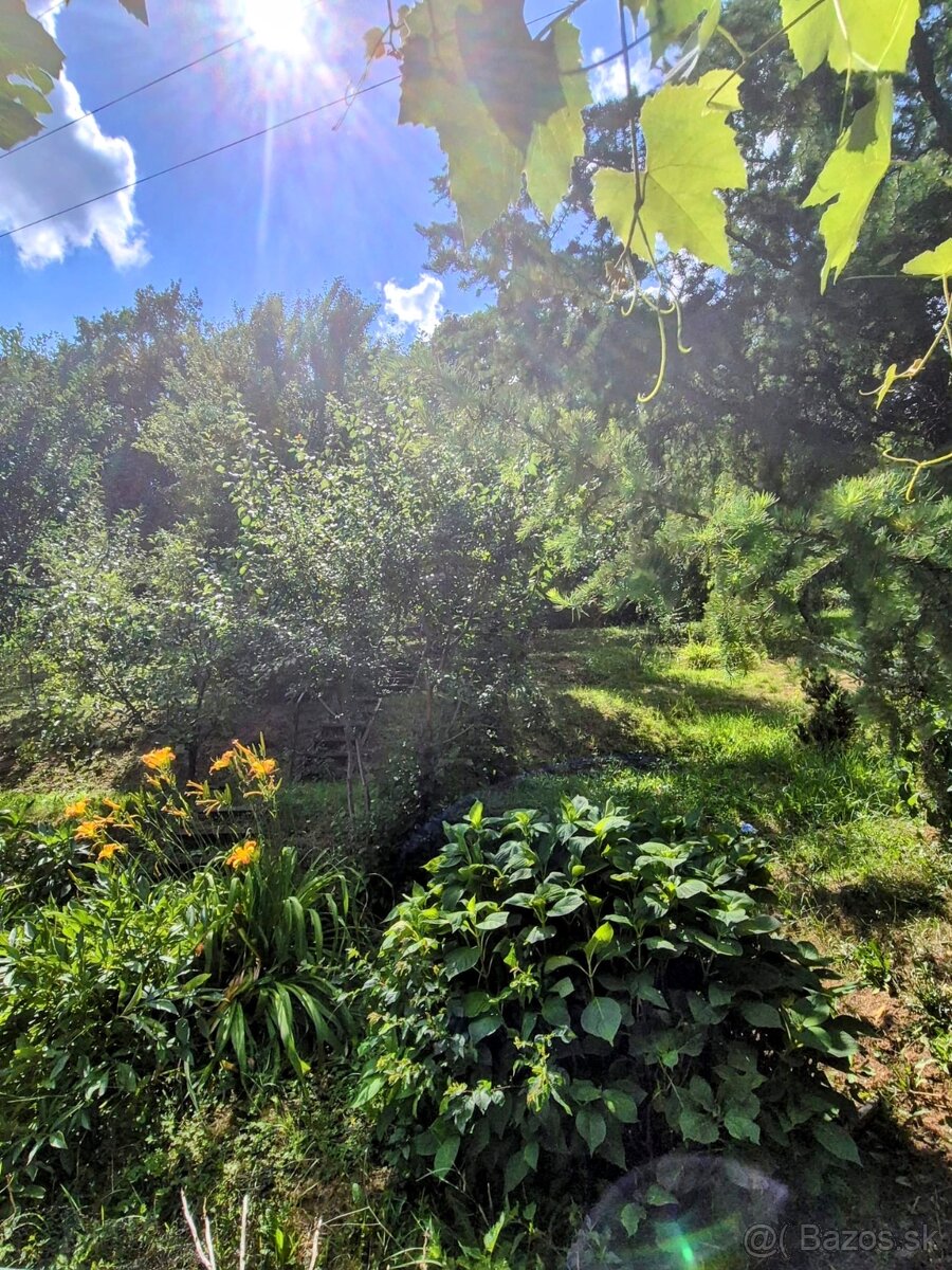 Predaj chatky vo vyhľadávanej Lutile iba 3 km od ZH. - 11