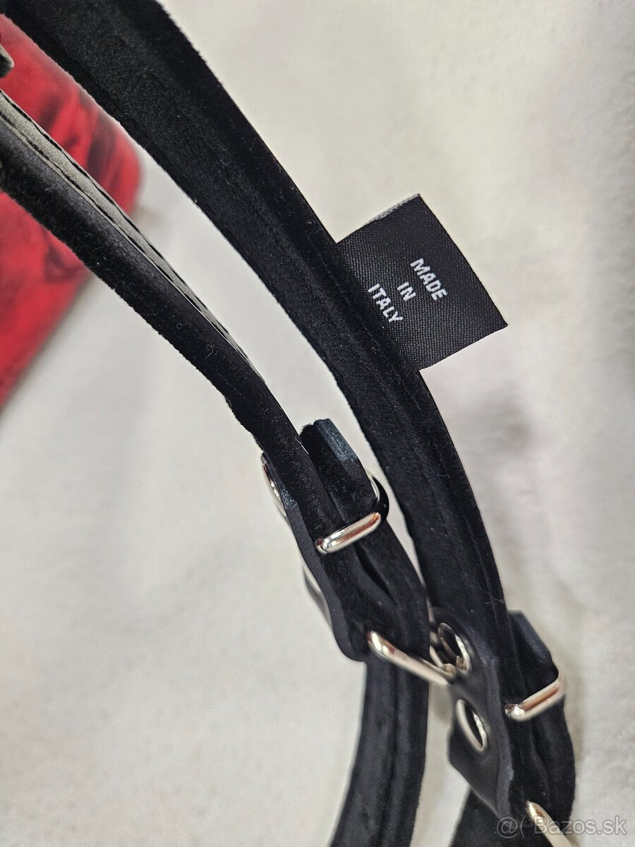 Chromaticky akordeon weltmeister grandina - 11