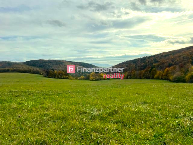 Chata v lese: el., voda, internet tesla, satelit, fotovoltik - 11