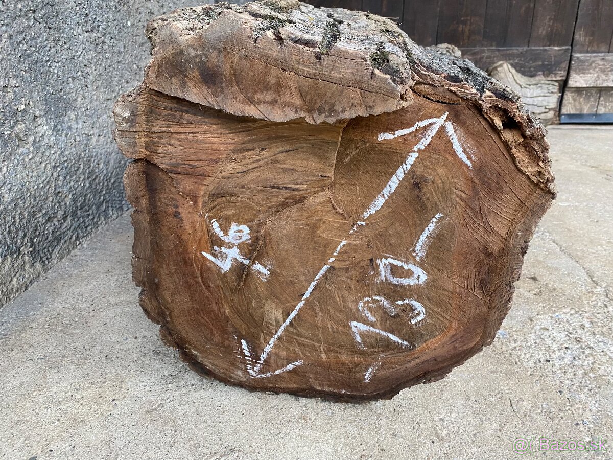 Orechové kmene, guľatina - 11