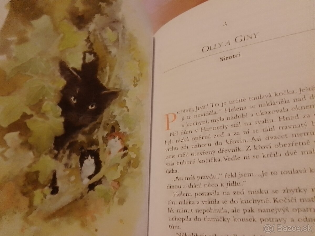 Knihy- mačky, zvieratá, levy, fínčina, Calm (v angličtine) - 11