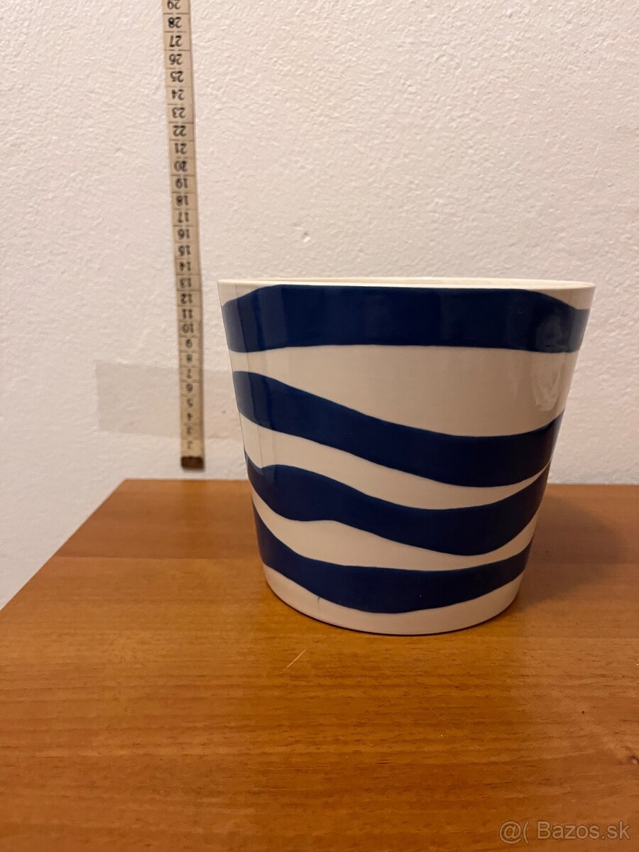 Kvetinče na predaj - 11