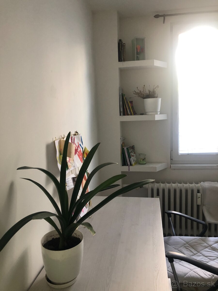 3-izbový byt centrum – zrekonštruovaný, zariadený - 11