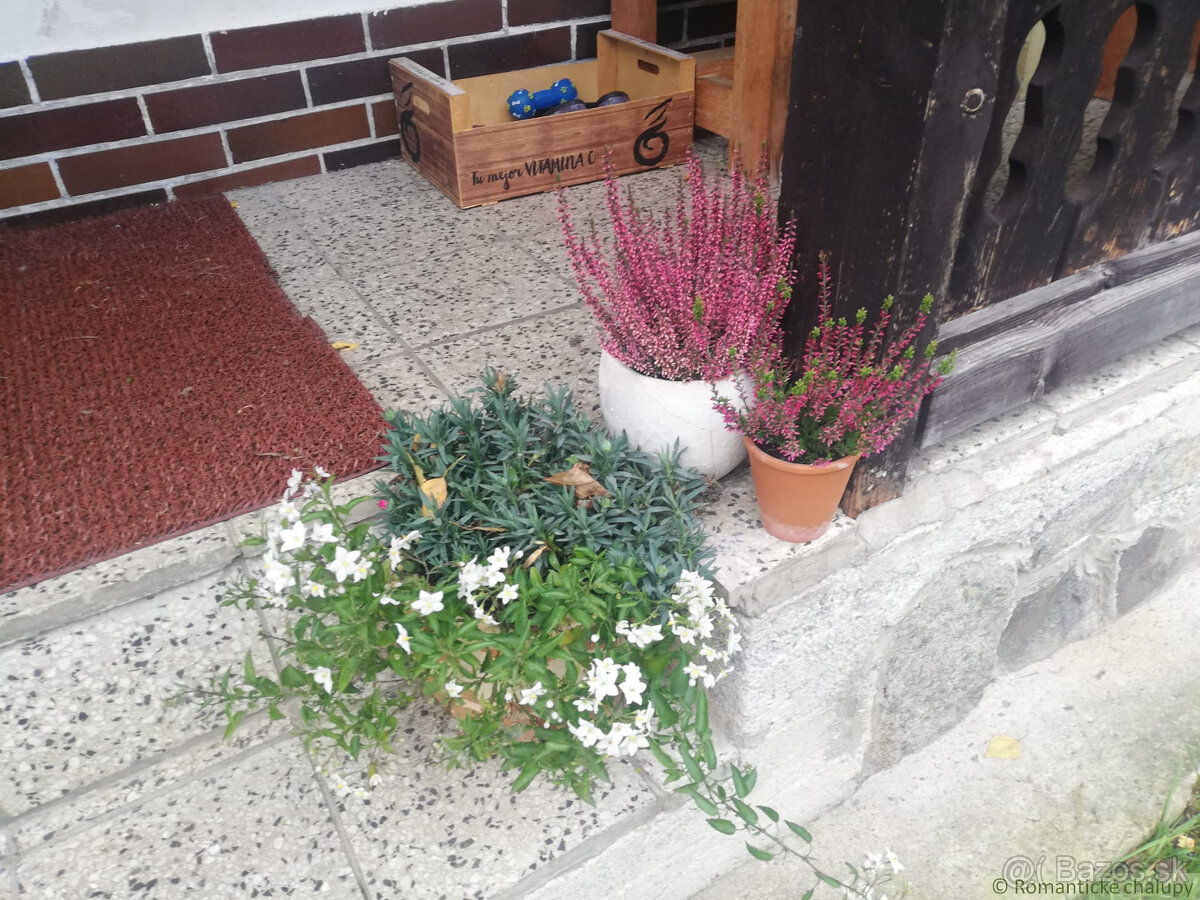 Chalupa dom na bývanie Staré Hory Banská Bystrica - 11