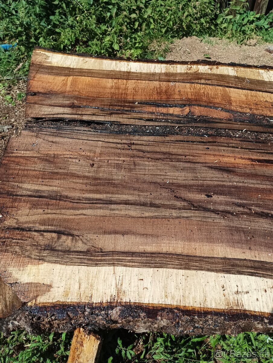 Orechove fosne, hrúbka 84mm - 11