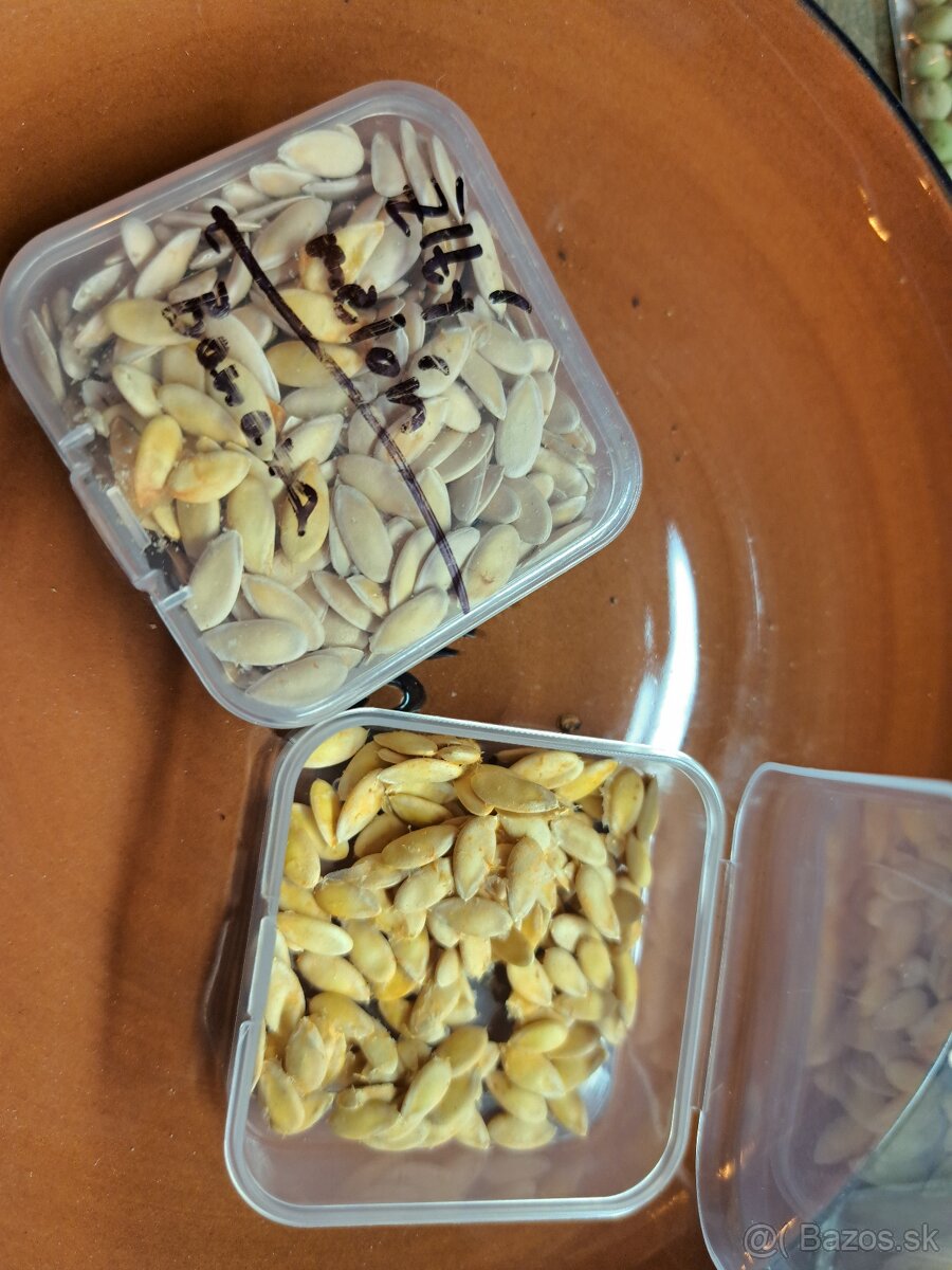 Semená zeleniny a ovocia - 11