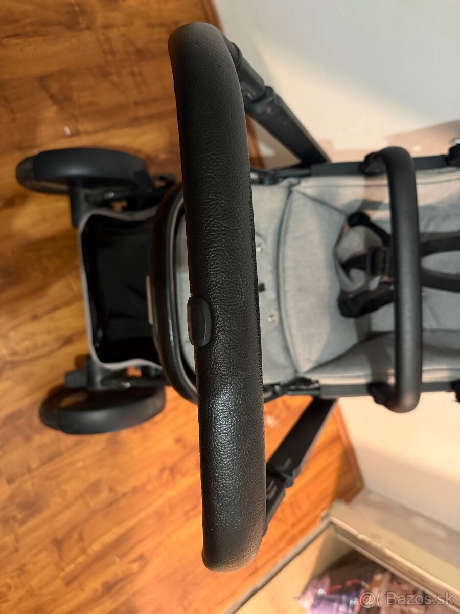 Surodenecky kocik Nuna - 11