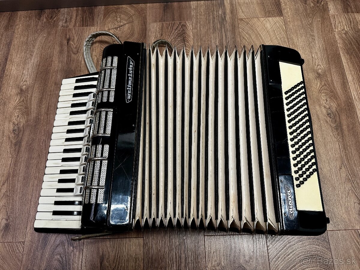 Akordeon - Weltmeister Diana - 11
