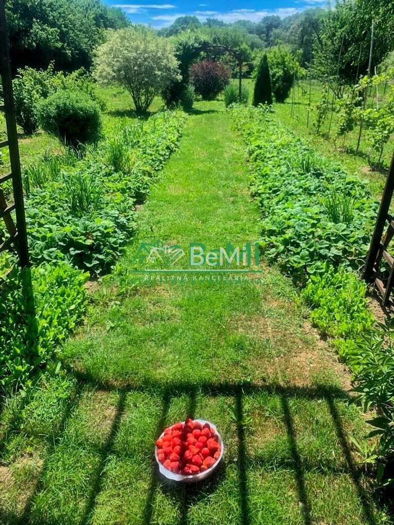 Výrazná zľava 7400 m2 a 2domy v Abaújvár 008=12=RAD - 11