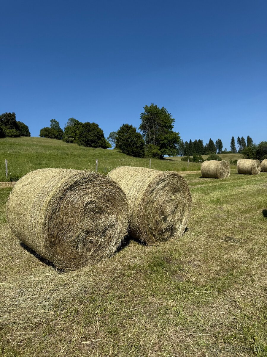 Ponúkam na predaj seno - 11