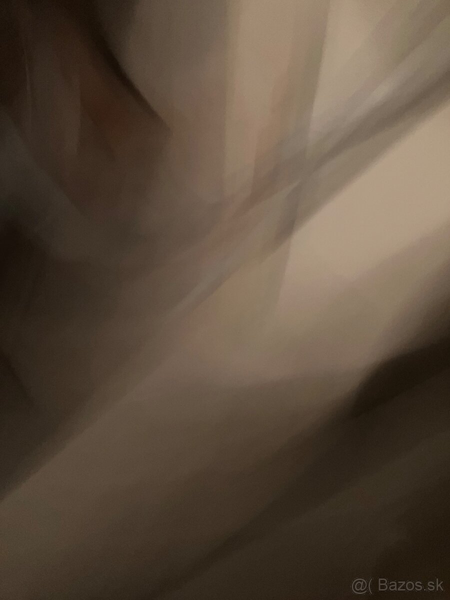 Predám masívne vchodové dvere - 11