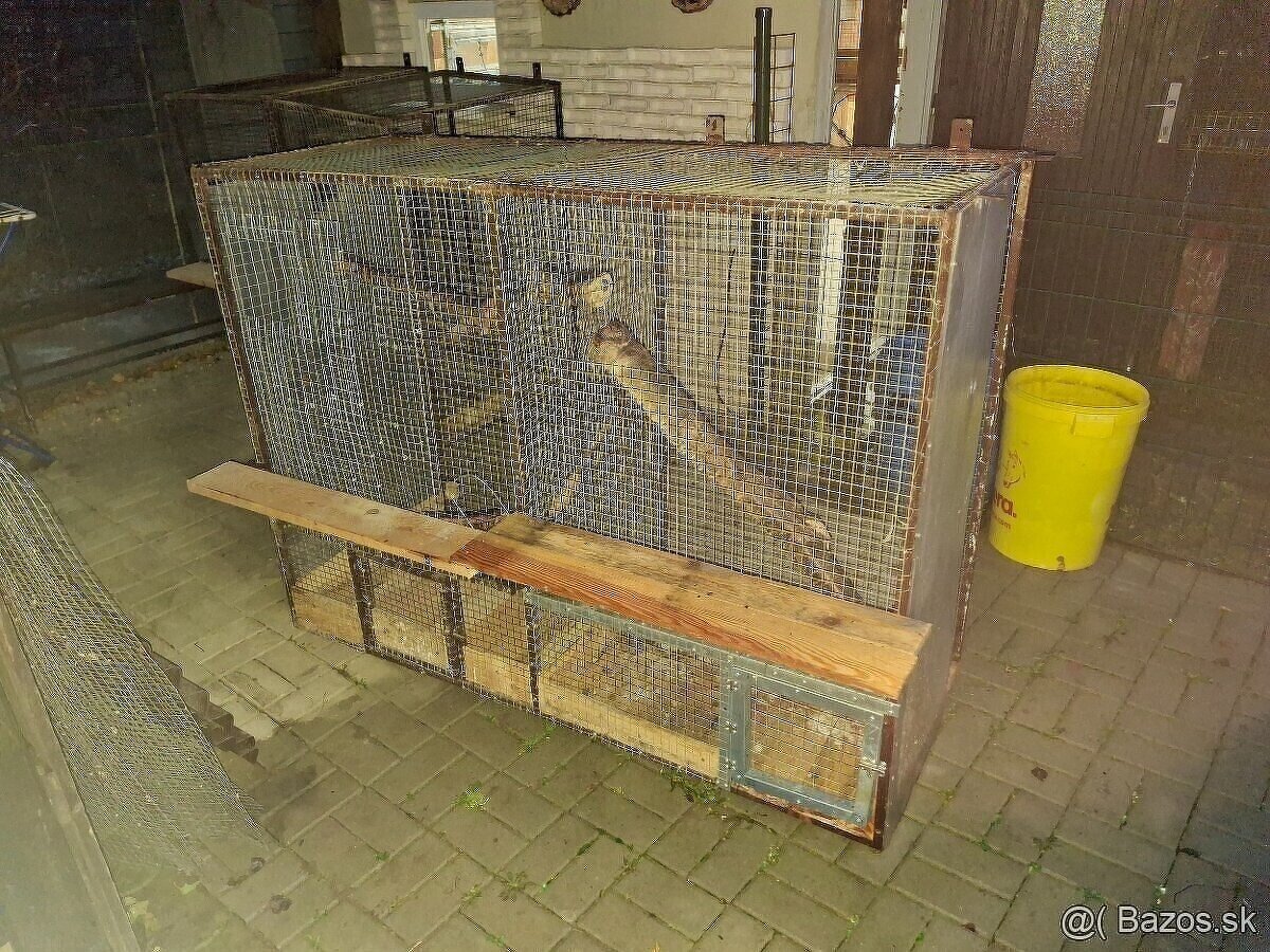 Voliery 6ks - 11