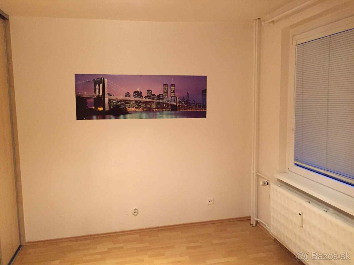 PRENAJOM 1-IZBOVÝ BYT - 11