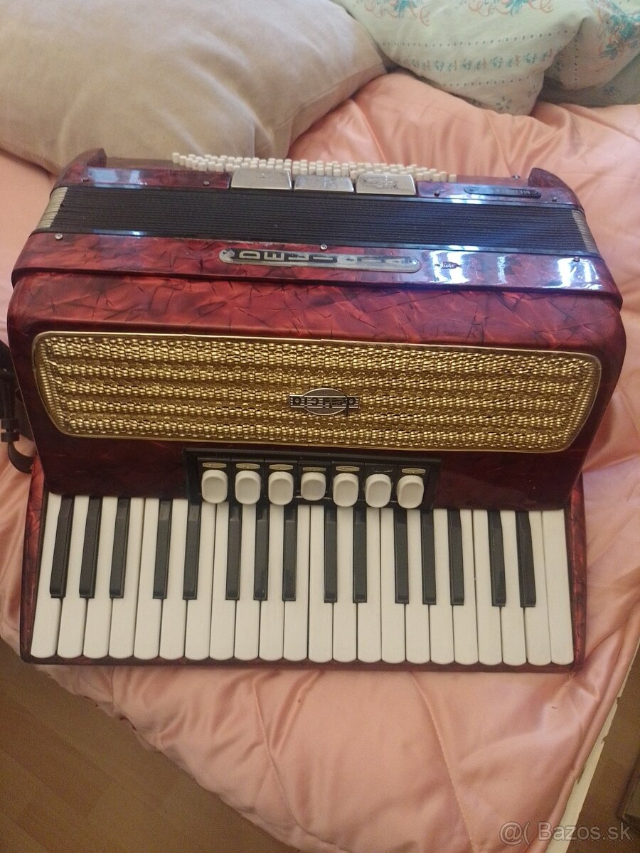 Harmonika akordeón - 11