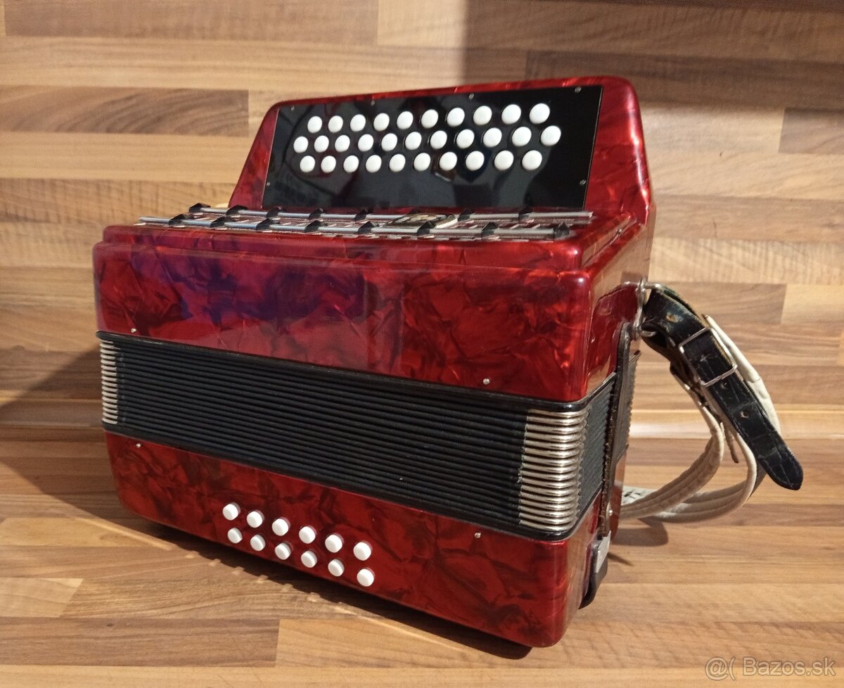 Akordeon, harmonika, heligonka - 11