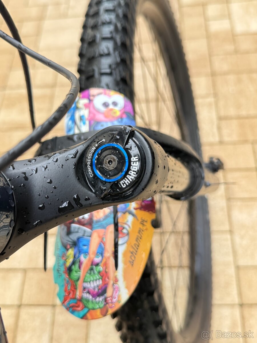 Specialized E-bike - 11