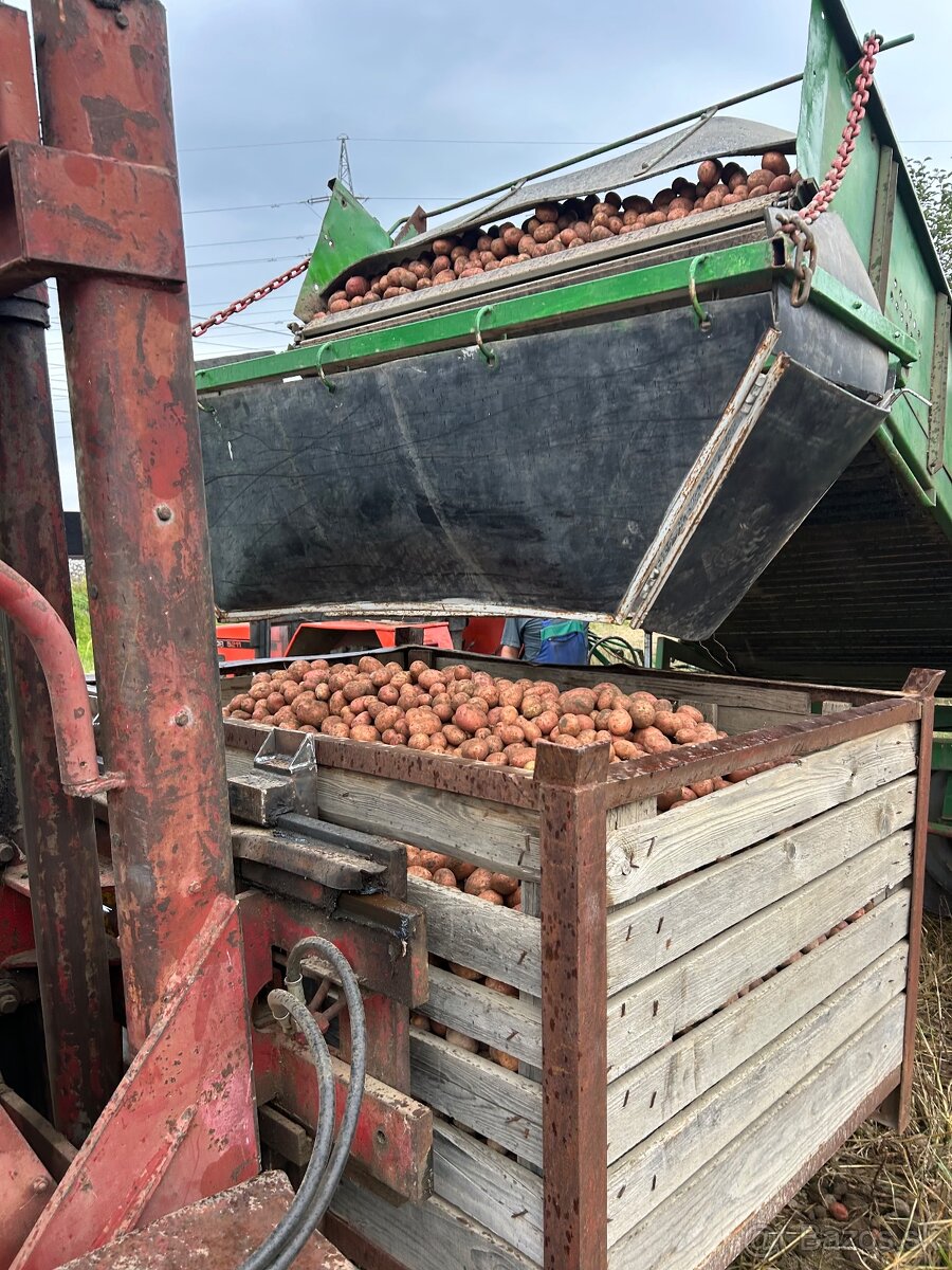 Domáce Zemiaky - 11