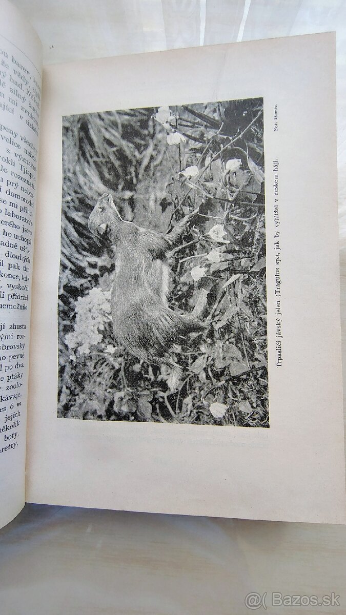 Daneš-Domin Dvojím rájem 1+2 AUTOGRAM autora - 11