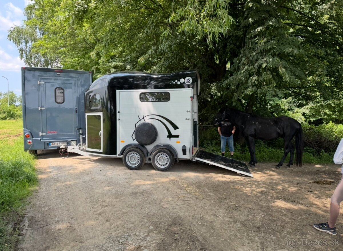 Preprava koní - K2HORSESTAXI.sk - 11