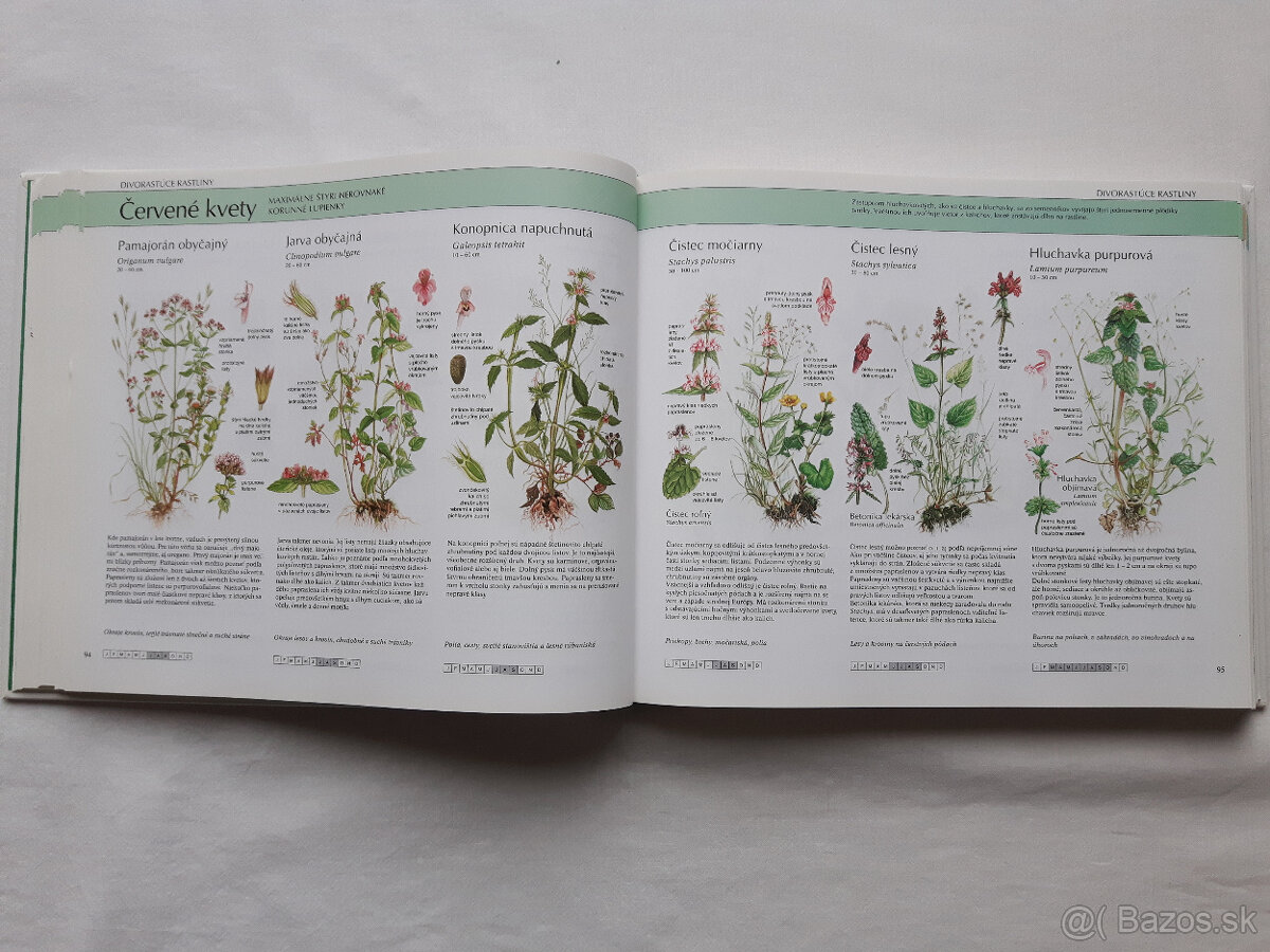 Čarovný svet, Naša príroda - 11