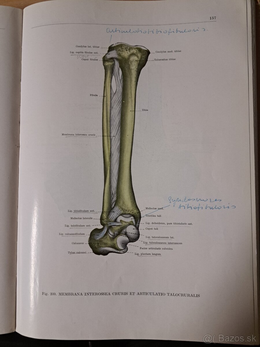 Atlas ĺudskej anatómie 1,2,3. - 11