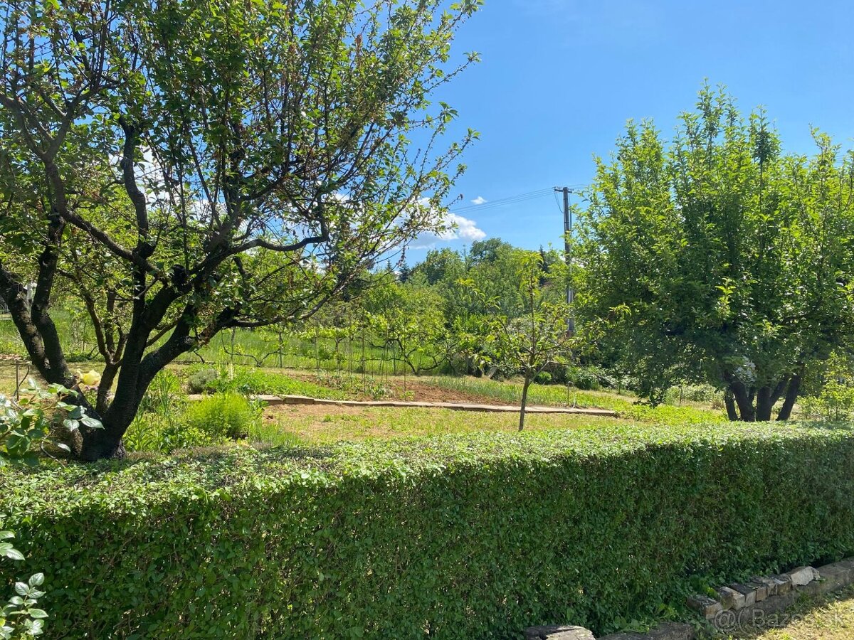 Záhrada s dreveným domčekom - 11