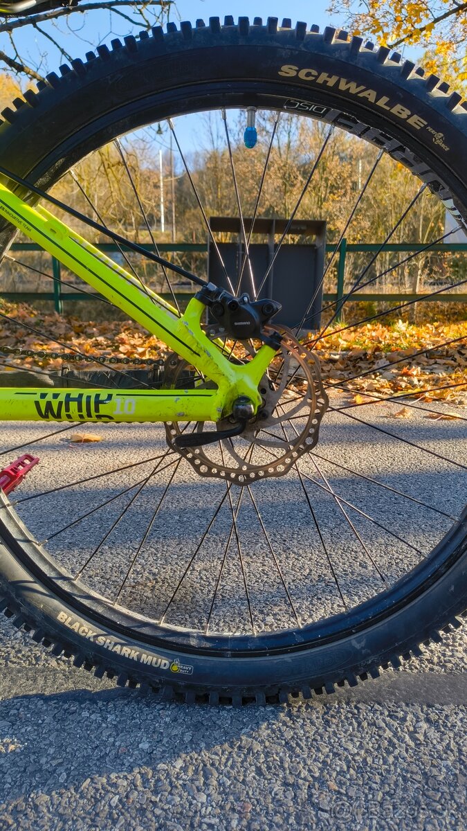 Kellys whip 10 2018 - 11