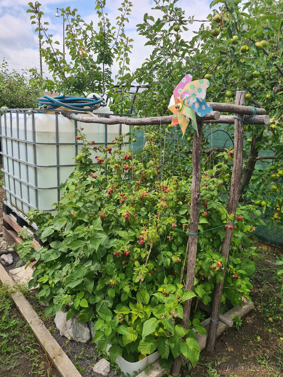 Záhrada v tichej časti Serede - 11