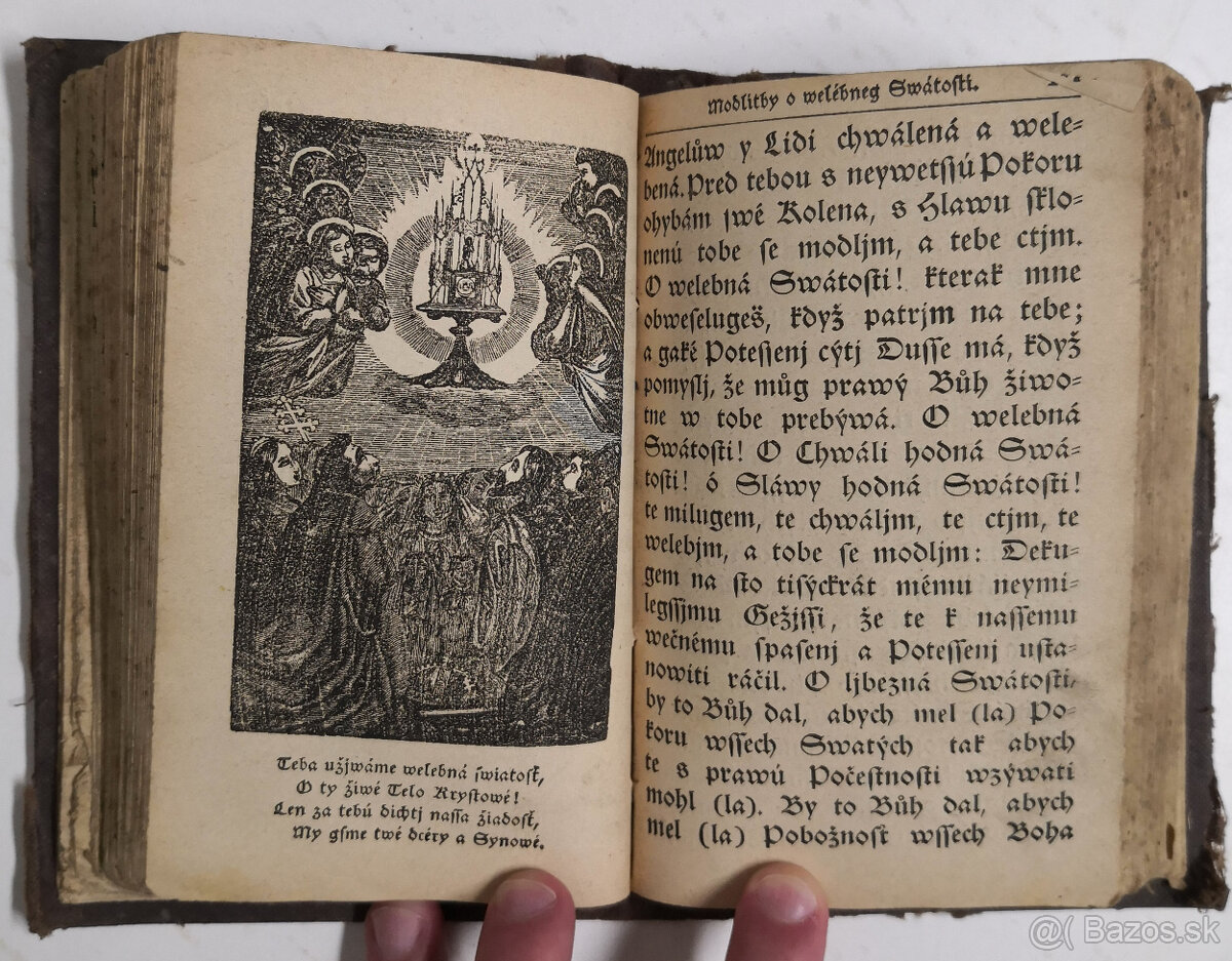 Stepná zahradka 1850 - 11