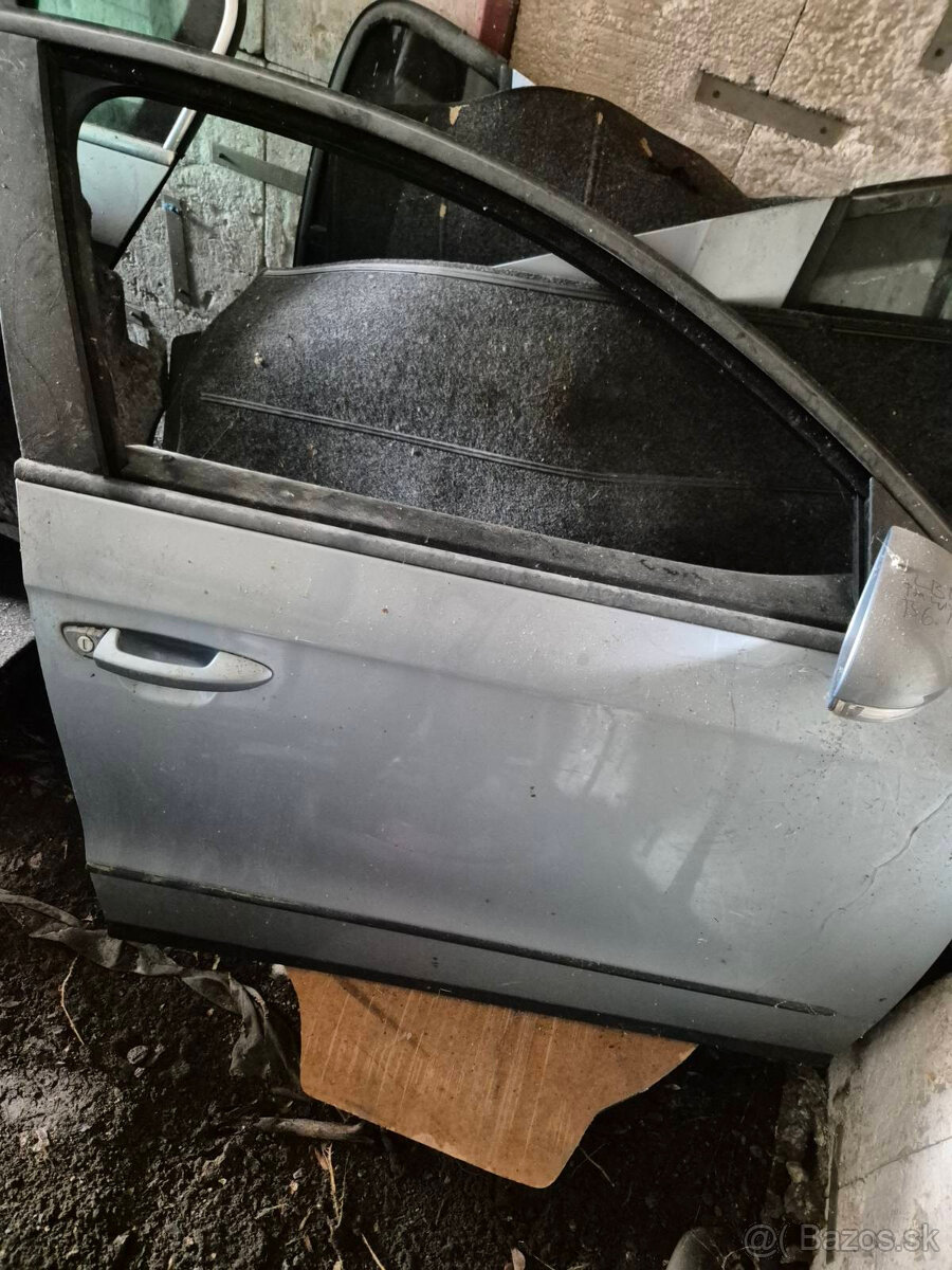 Dvere VW Passat b6 - 11