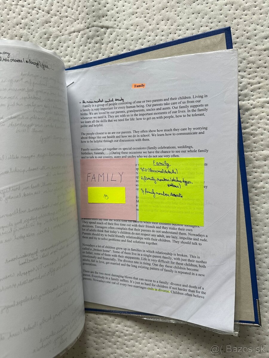 Kompletne vypracované skriptá z angličtiny, statnice - 11