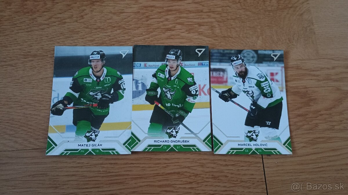 Hokejové kartičky Tipos extraliga 2020/21 - 11