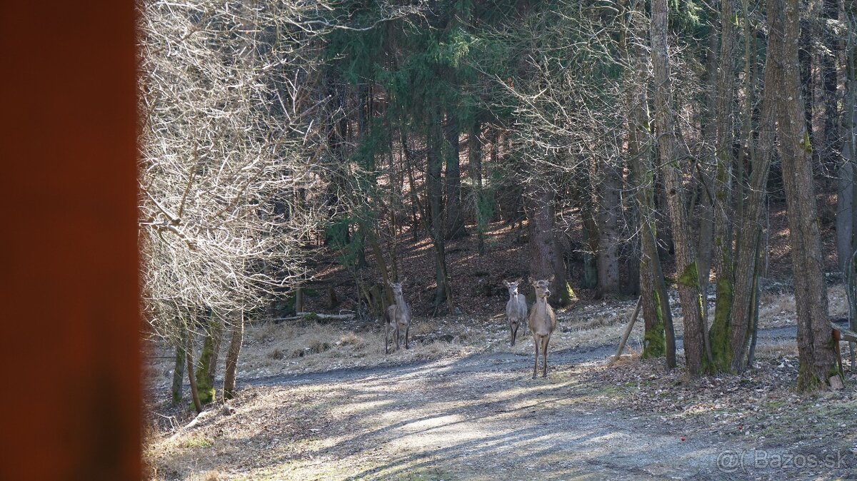 Rekreačná chata na predaj - Martin, Stráne - 11