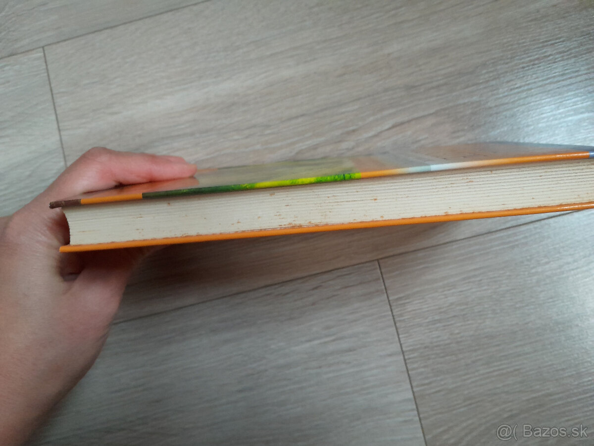 Raymond A. Moody - Ezoterické knihy - 11