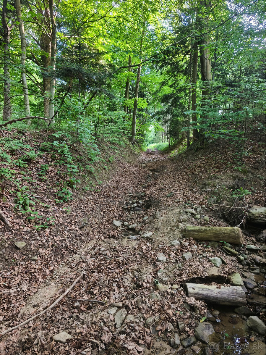 Chata na predaj v obci Šiba - 11