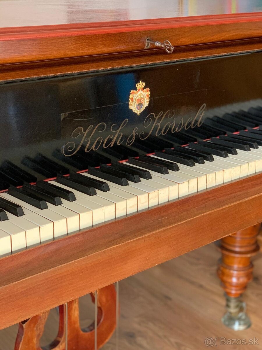 Krídlo Koch & Korselh - 11