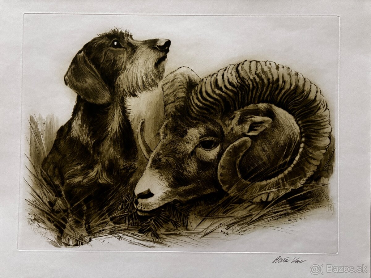 Ales Vaic - lesnicka tematiky - 11